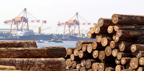 浅谈东方港木材进口到青岛清关需知