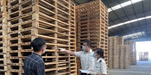 解读：进出境木质包装检疫查什么？附：木质包装进出境规定