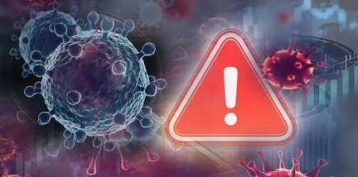 多个港口城市疫情反弹，对集运业有何影响？