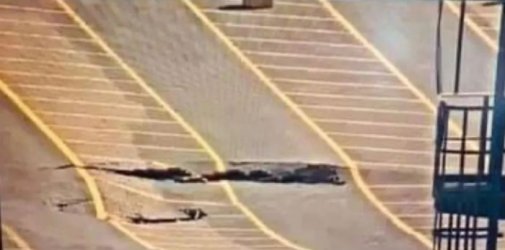 英国最大集装箱港菲利克斯托面临暂时关停！