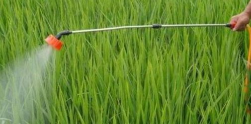 农药进出口管理服务新政知多少！