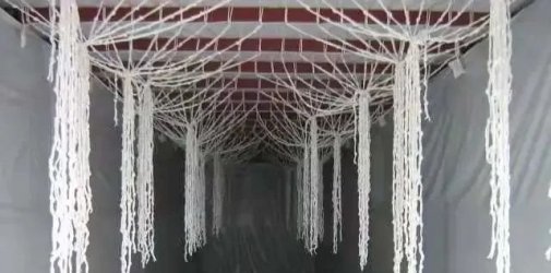 挂衣箱出口使用注意事项居然这么多？