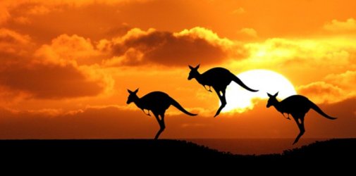 关于青岛至澳洲DDP到门那点事！