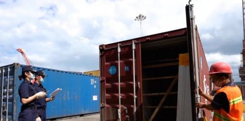 浅谈关于入境货物木质包装检验那点事