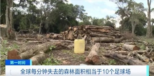 这些商品，拟禁止进出口！欧盟达成临时协议....