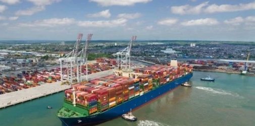 持久价格战上演！进口量断崖式下跌，未来半年将现货量下降黑洞