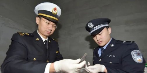 青岛海关破获案值2亿元走私海参案