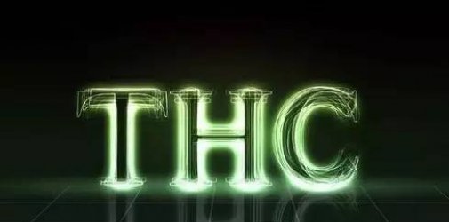 解读！什么是THC费用，在什么情况下需要收取？