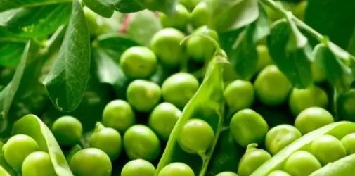 聚焦物流大事件！美欧线五月持续涨价？我国外贸稳中向好！