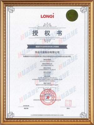 LONGi Solar Power of Attorney