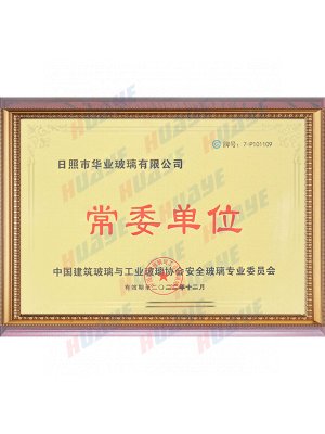 Member of the Standing Committee of the Safety Glass Committee of China Construction Glass Association