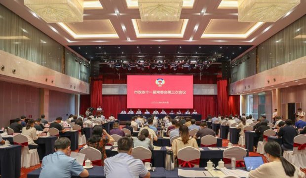尹强董事长参加市政协十一届常委会第三次会议