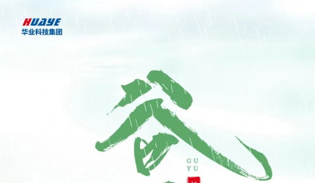 今日谷雨