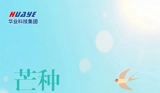 今日芒种