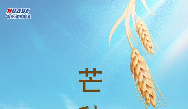 今日芒种