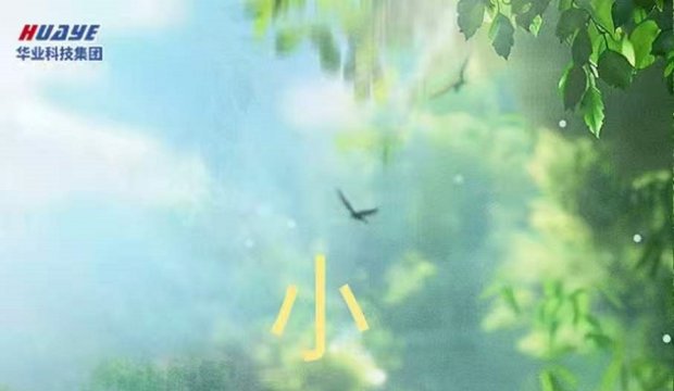 今日小暑