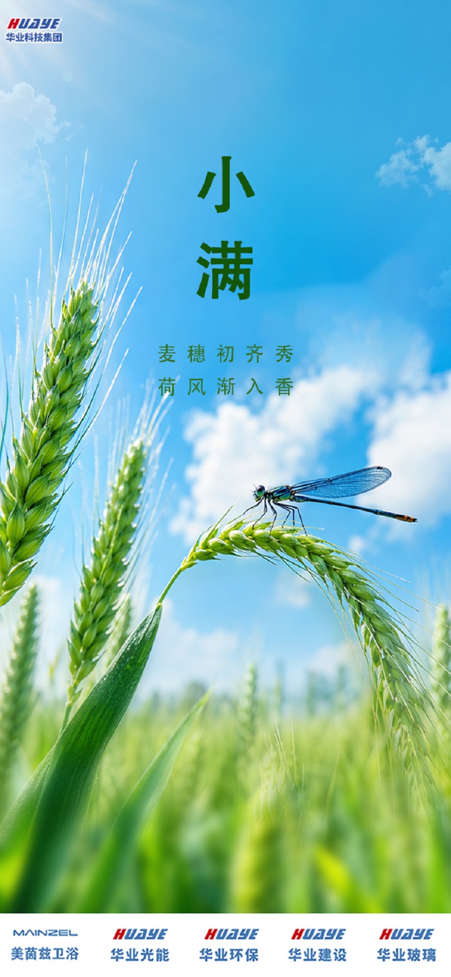 集团 - 副本